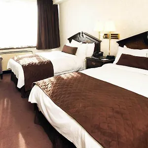 Western Primrose Downtown Hotel Toronto